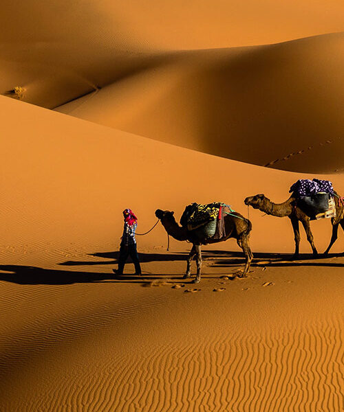 HADYA TOUR - Турфирма Путешествие, Турпакеты, Покупка авиабилетов, Экскурсии по Городами