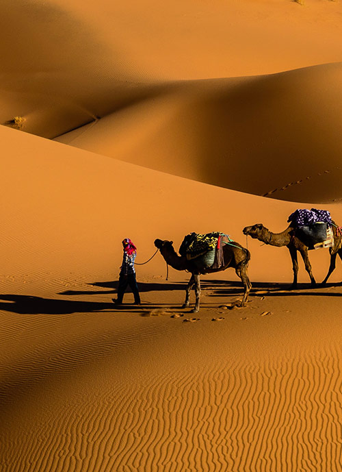 HADYA TOUR - Турфирма Путешествие, Турпакеты, Покупка авиабилетов, Экскурсии по Городами